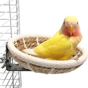 鳥飼育用品 鳥用品 - Amazon.co.jp